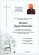 412_bayer_marinello_silvano-80.jpeg